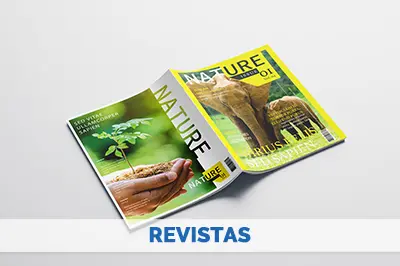 Imprimir revistas