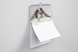 Imprimir Calendario de láminas barato Imprimir Calendario de láminas barato
