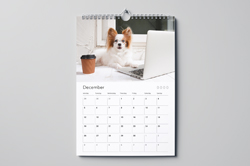 Imprimir Calendario de láminas económico
