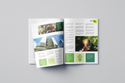 Imprimir Revista grapada A4 económica Imprimir Revista grapada A4 económica